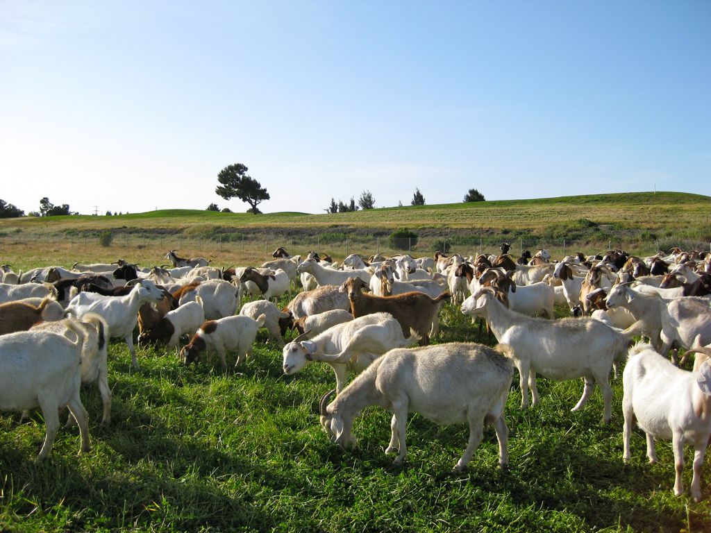 Checking out the menu/