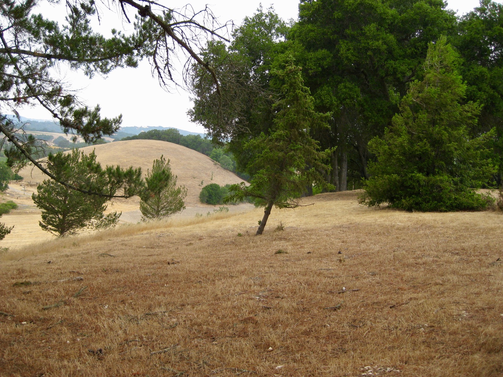 Northwest: From the well/