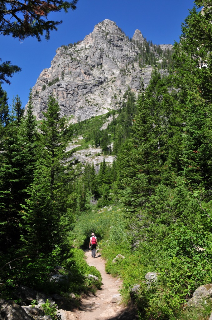 Cascade Canyon trail/