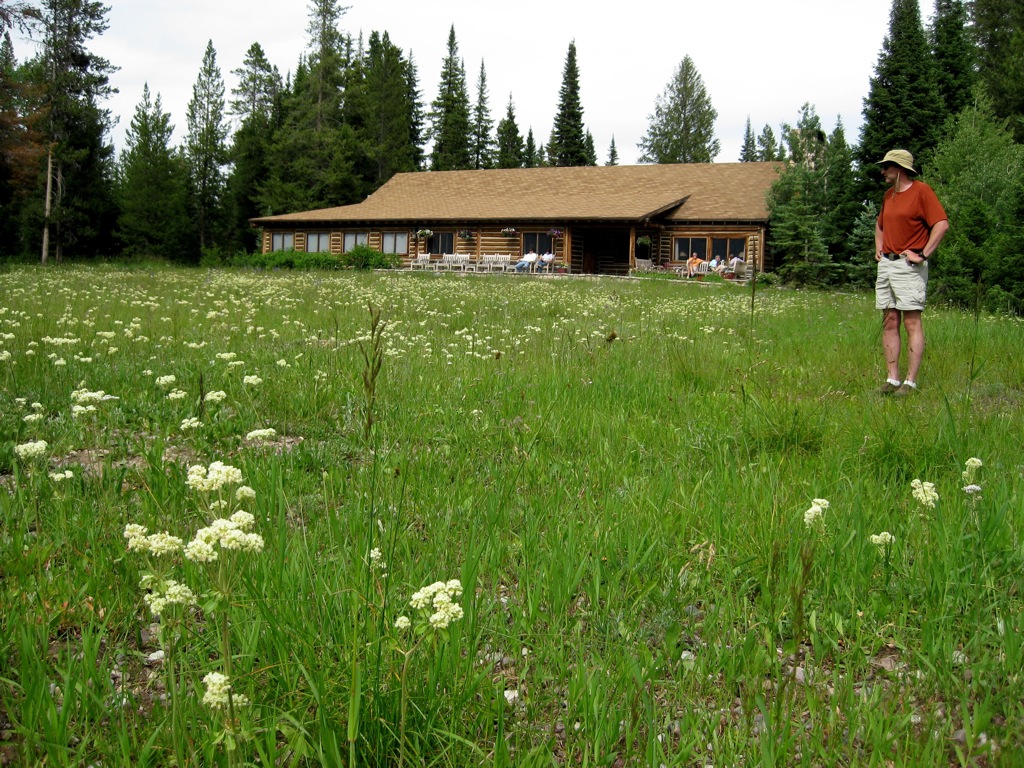 Dan pondering the wild flowers/