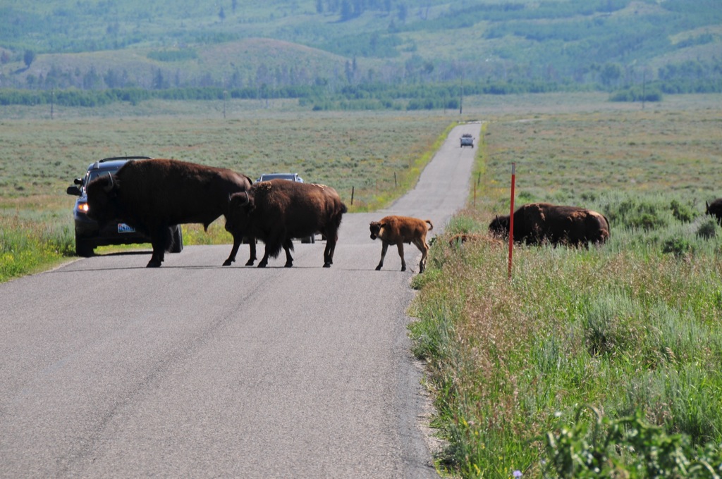 Awwwh... little baby!/