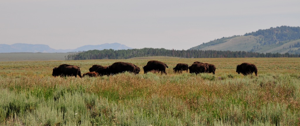 Everyone safely on the other side/