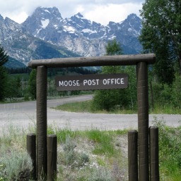 Who wouldn't love a town called Moose?!/
		    
