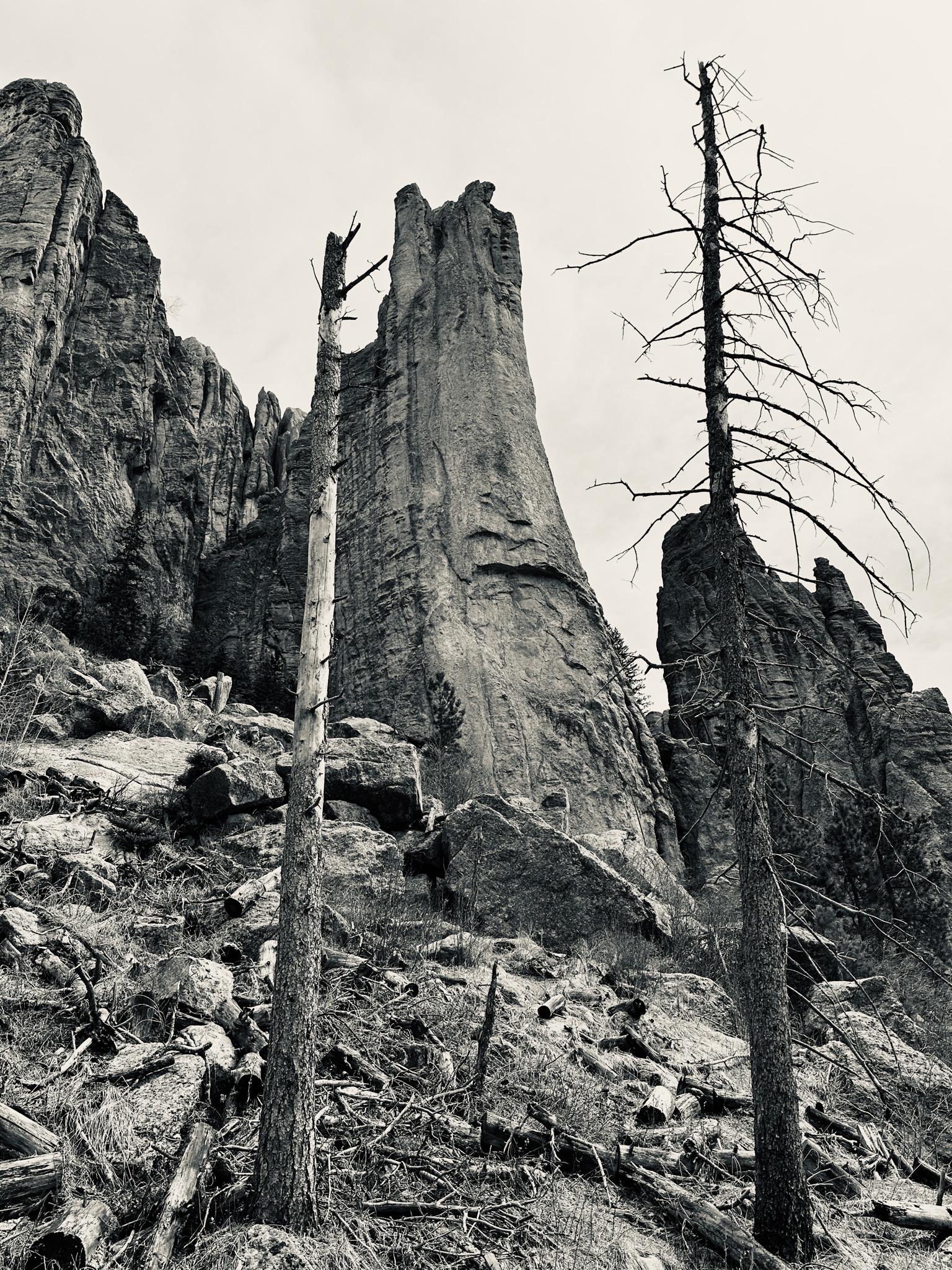 Cathedral Spires Trail - Custer State Park/