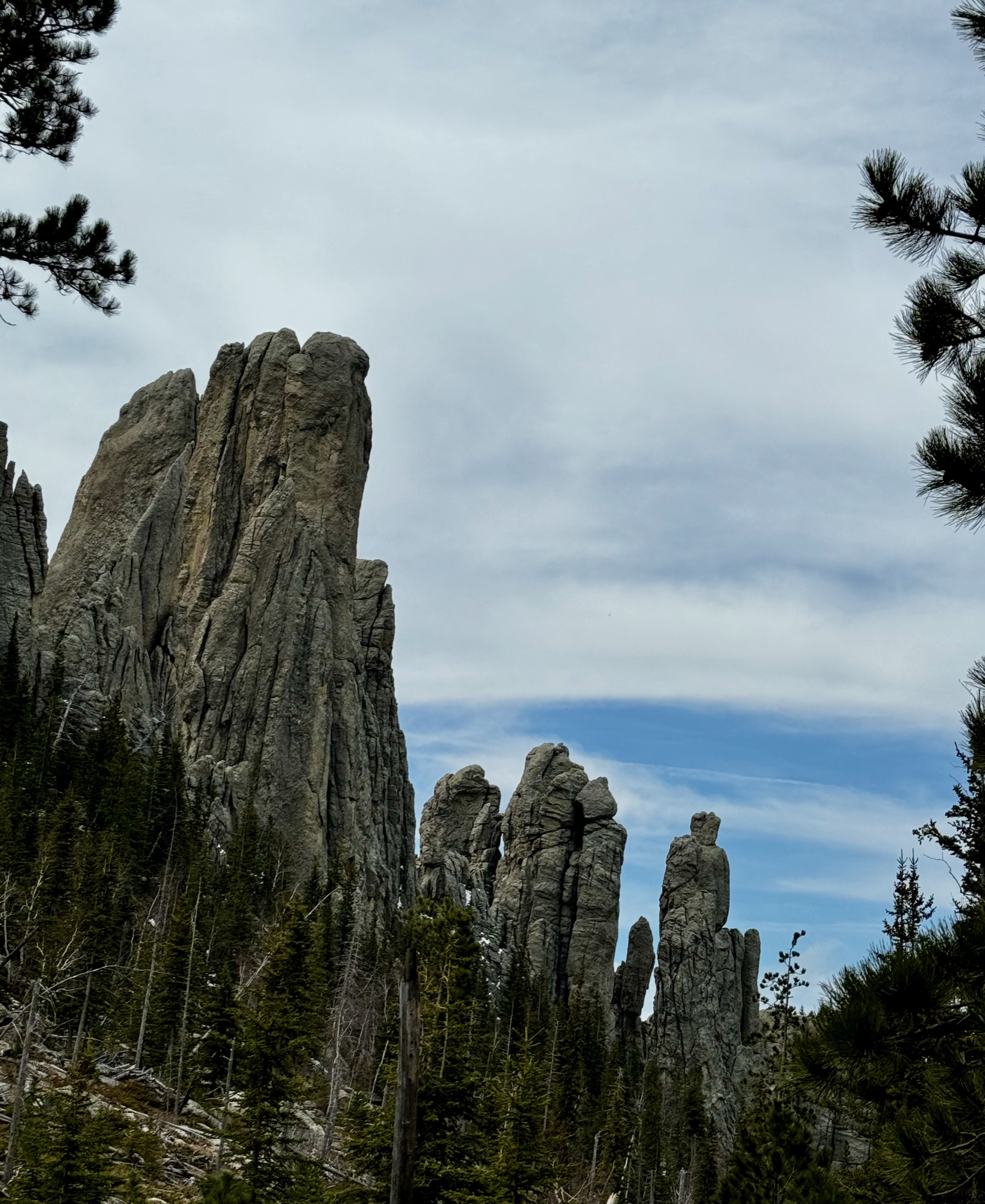 Cathedral Spires Trail - Custer State Park/