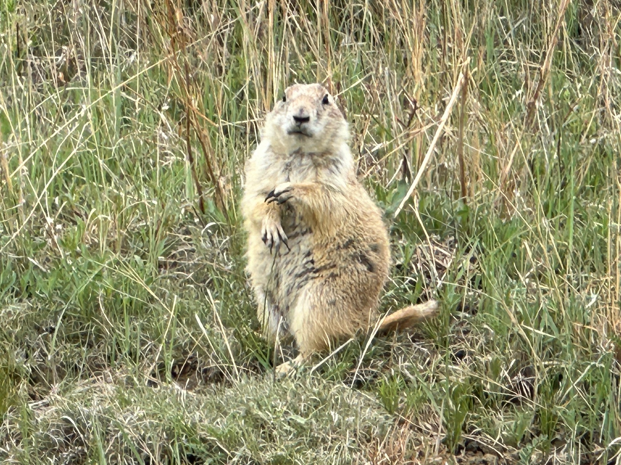 Did we mention there are a million?/