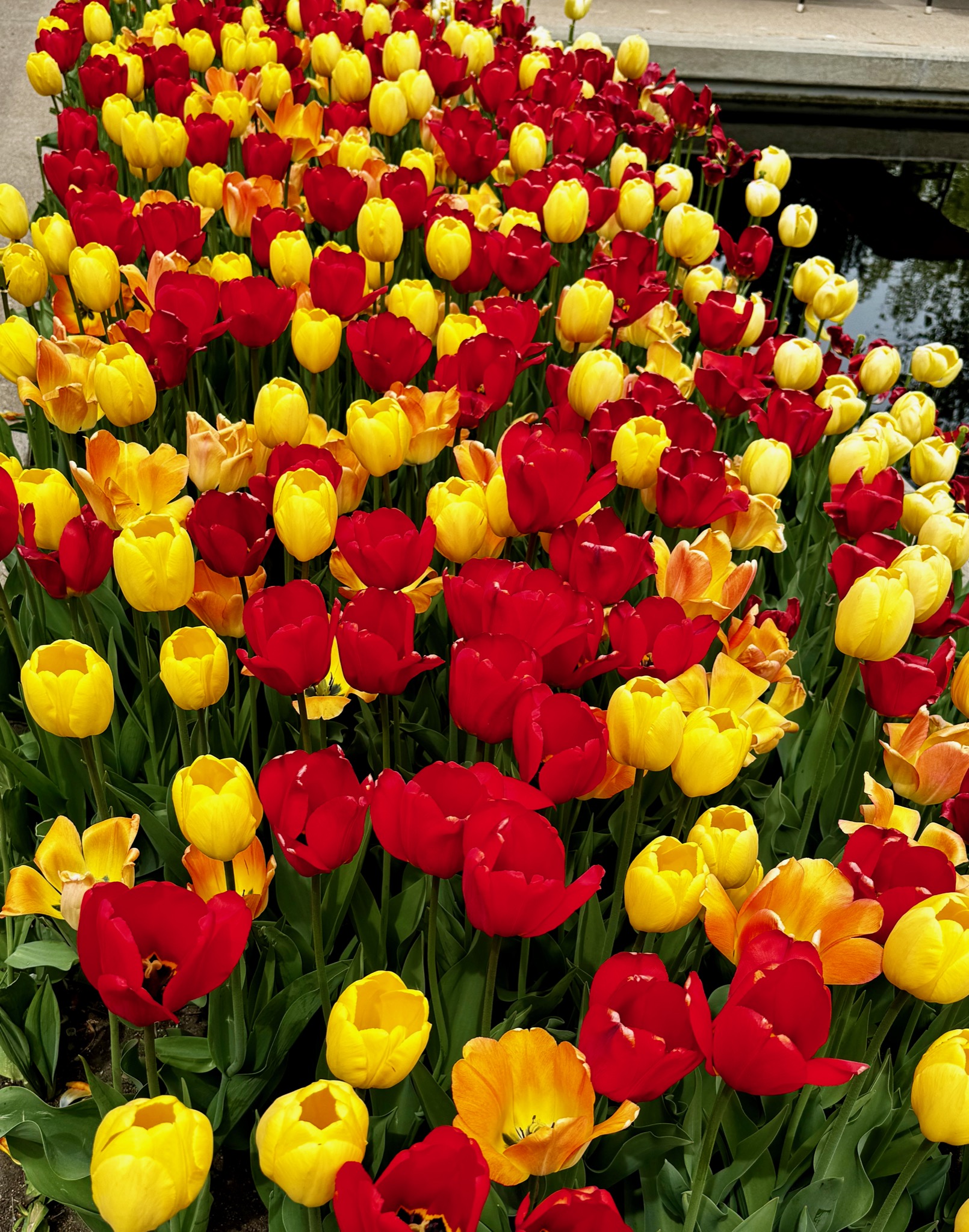 Denver Botanic Gardens, 1007 York St, Denver, CO 80206, USA