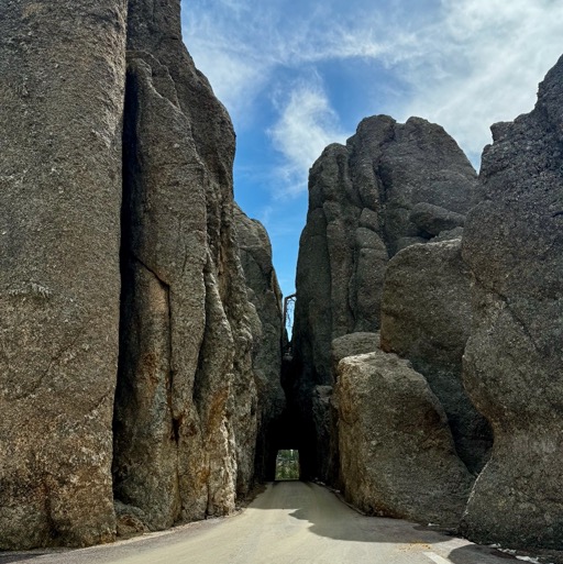 Needles Highway - Custer State Park, SD/
		    24581 SD-87, Custer, SD 57730, USA
