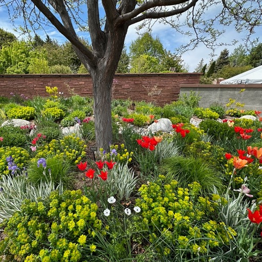 Beautiful gardens!/
		    1007 York St, Denver, CO 80206, USA