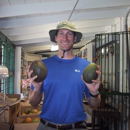 Big enough avocados? /
		    