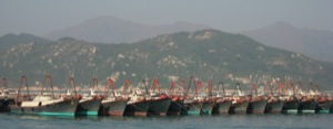 Cheung Chau's harbor