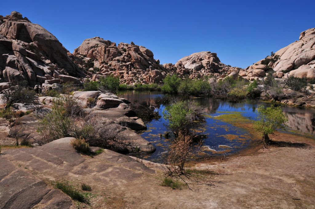 First lake on Barker Dam Trail/