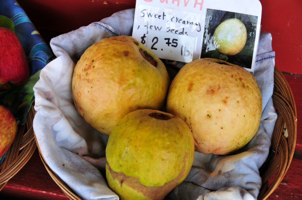 This is what guavas look like!/