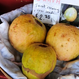 This is what guavas look like!