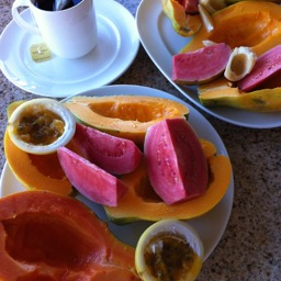 Breakfast: guavas, papaya, and a bunch of fruit we didn't know! Good bye Hawai'i!