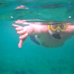Proof that Dan did try snorkeling 