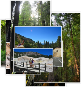 Lassen Volcanic and Redwood National Parks, CA