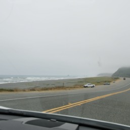 ... to the super damp coast/
		    