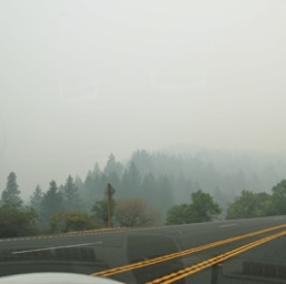 Fog? Nope! Forest fire smoke!