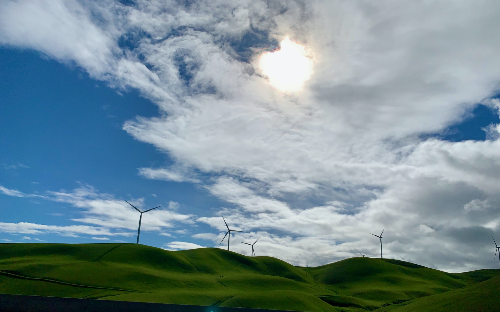 Green California -- needs happy cows/