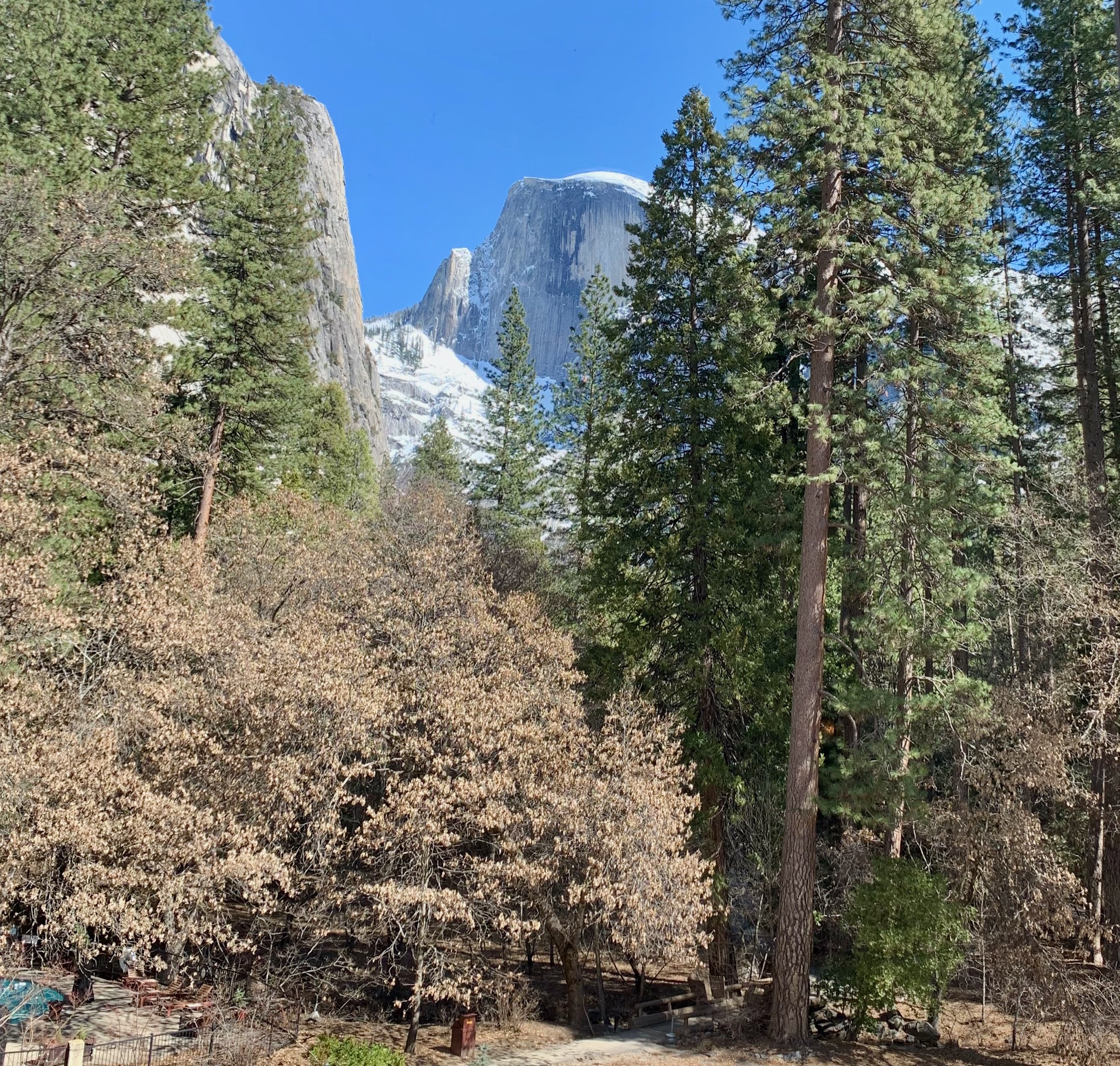 Not a shabby room view/