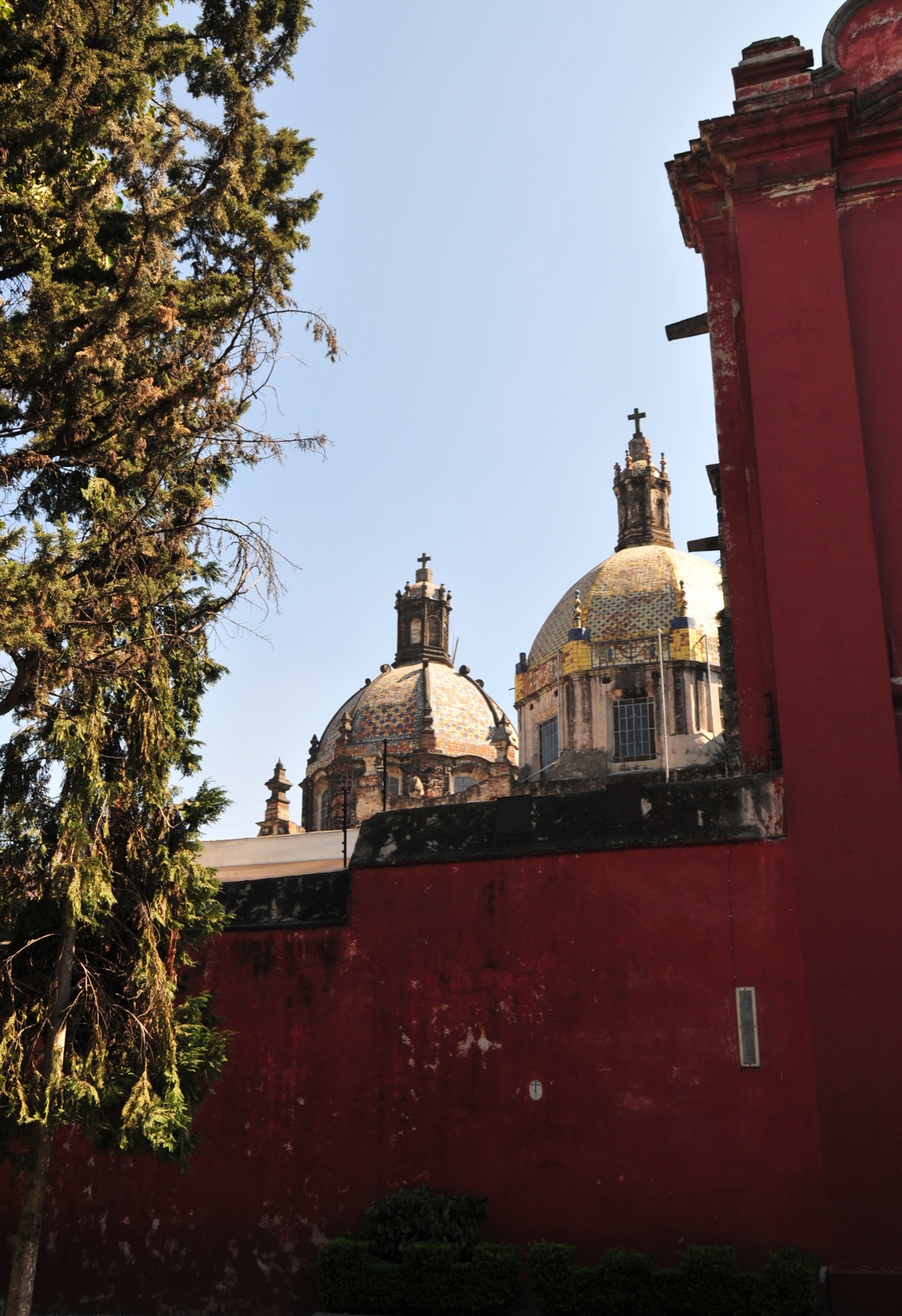 Domes of Museo del Carmen/