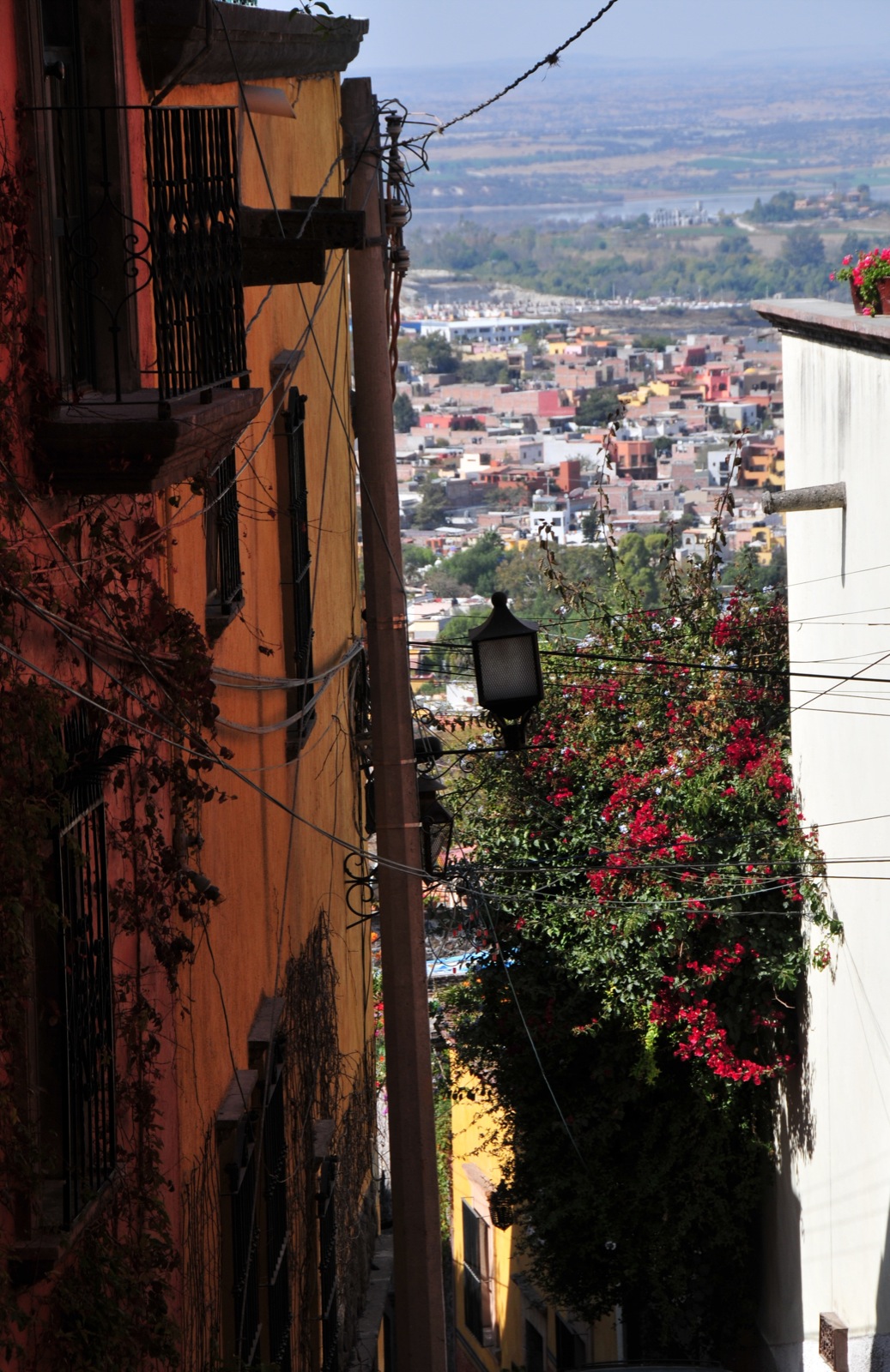 Steep hill, but the view is worth the climb/