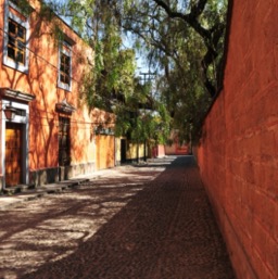 Backstreets of Coyoacán/
		    