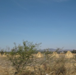 Beautiful landscape going to Guanajuato/
		    