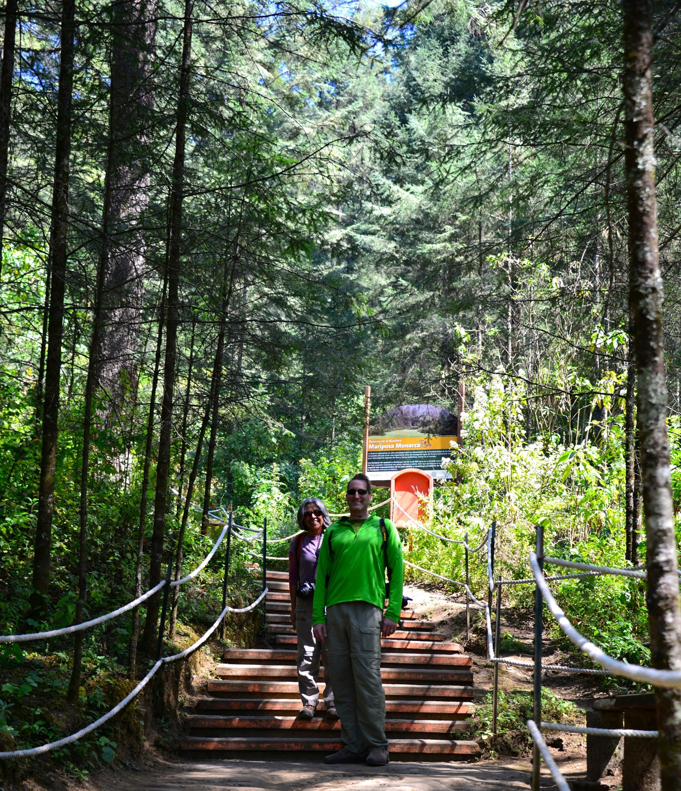 The start of the 700 stairs up to the monarchs/