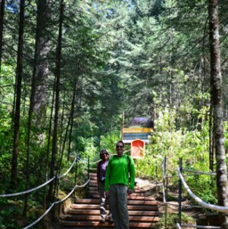 The start of the 700 stairs up to the monarchs/
		    