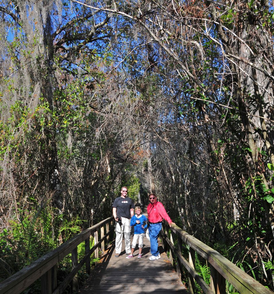On Big Cypress Bend boardwalk/