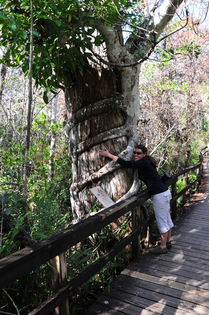 Assana playing vine/