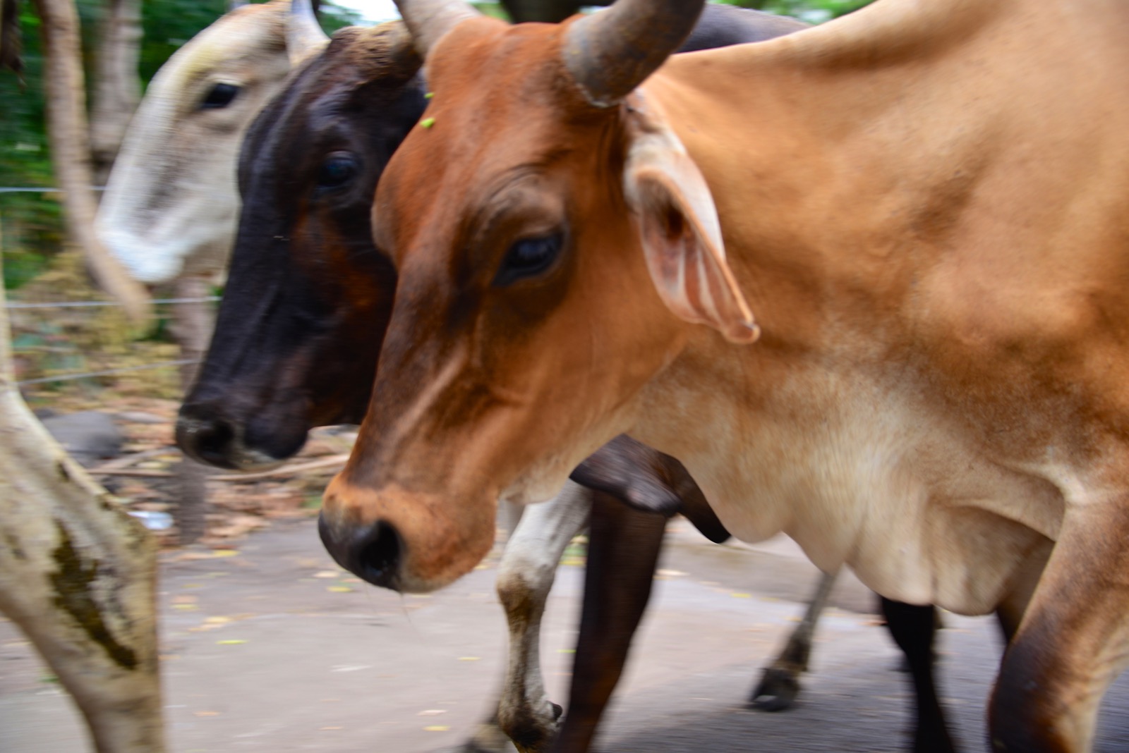 Afternoon rush hour/