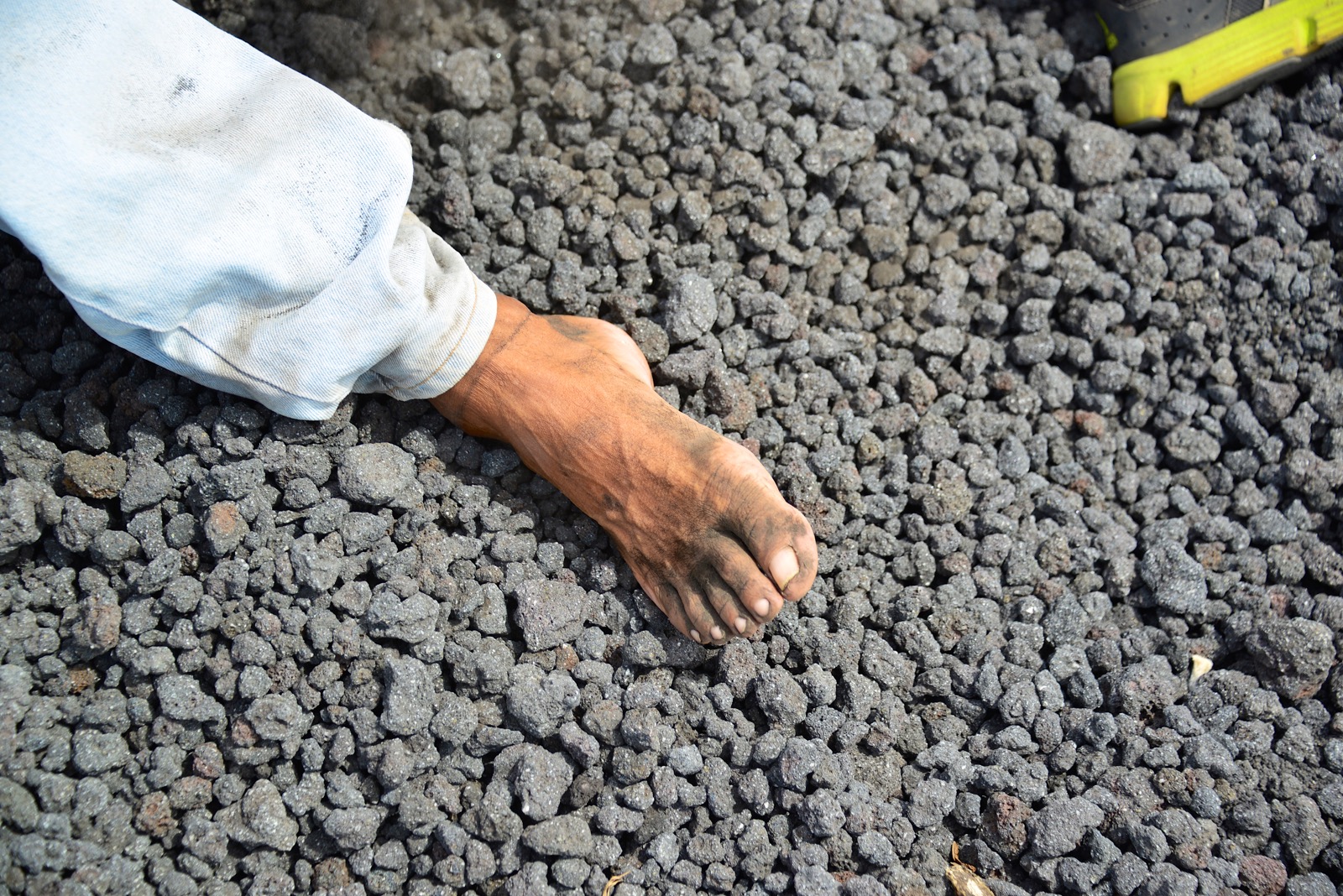 And for the record, it wasn't so much "ash" boarding/