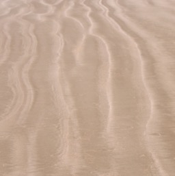 Artzy sand/
		    