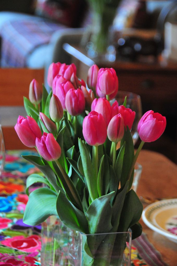 Ahhh... tulips! Love tulips!/