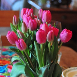 Ahhh... tulips! Love tulips!/
		    