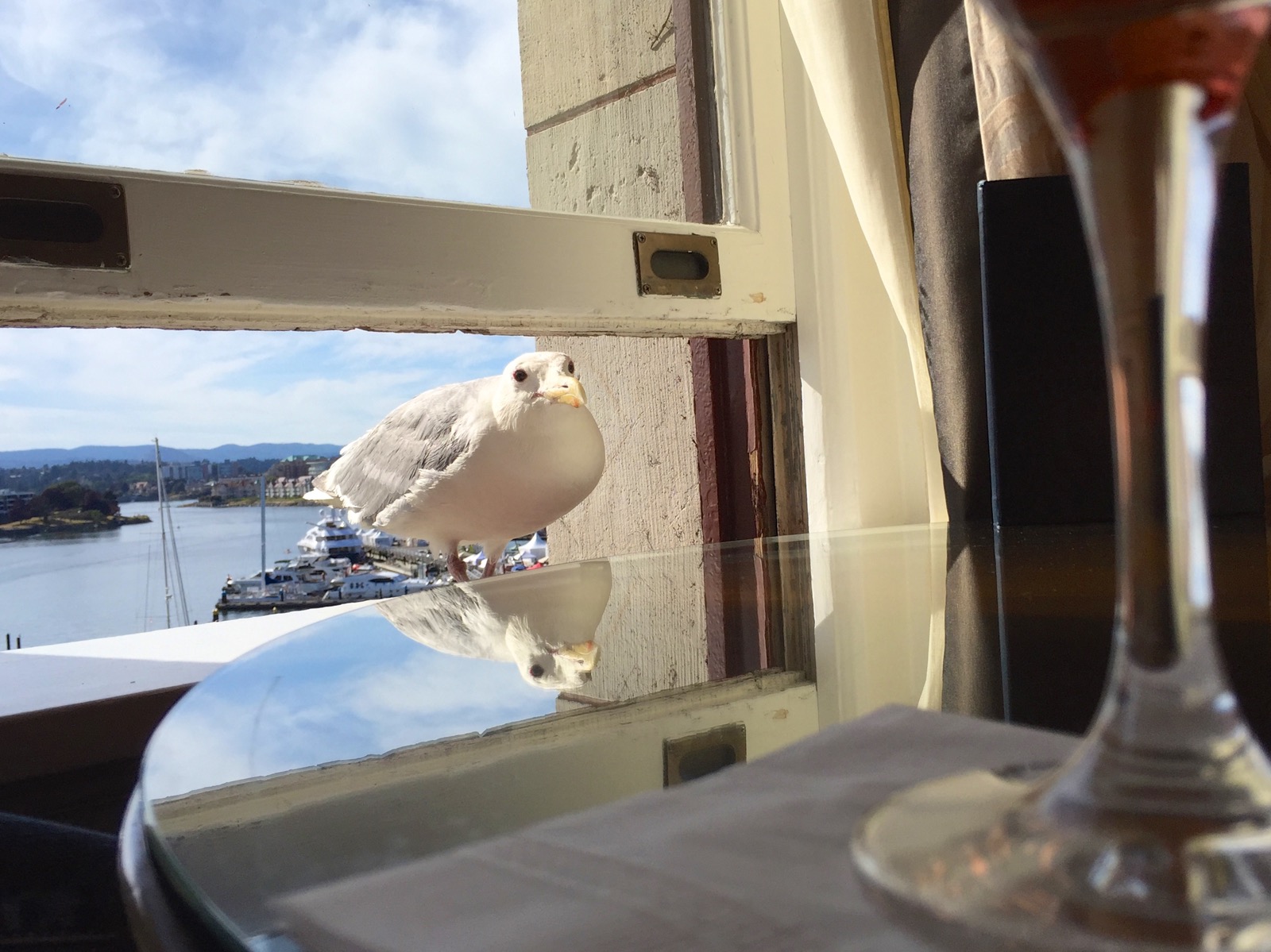 You've got something for me?/