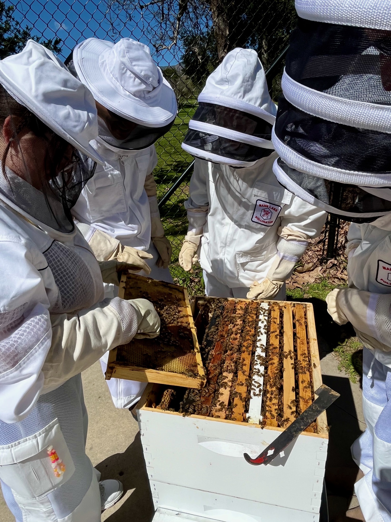 Hello ladies!/12153 Creek Rd, Ojai, CA 93023, USA