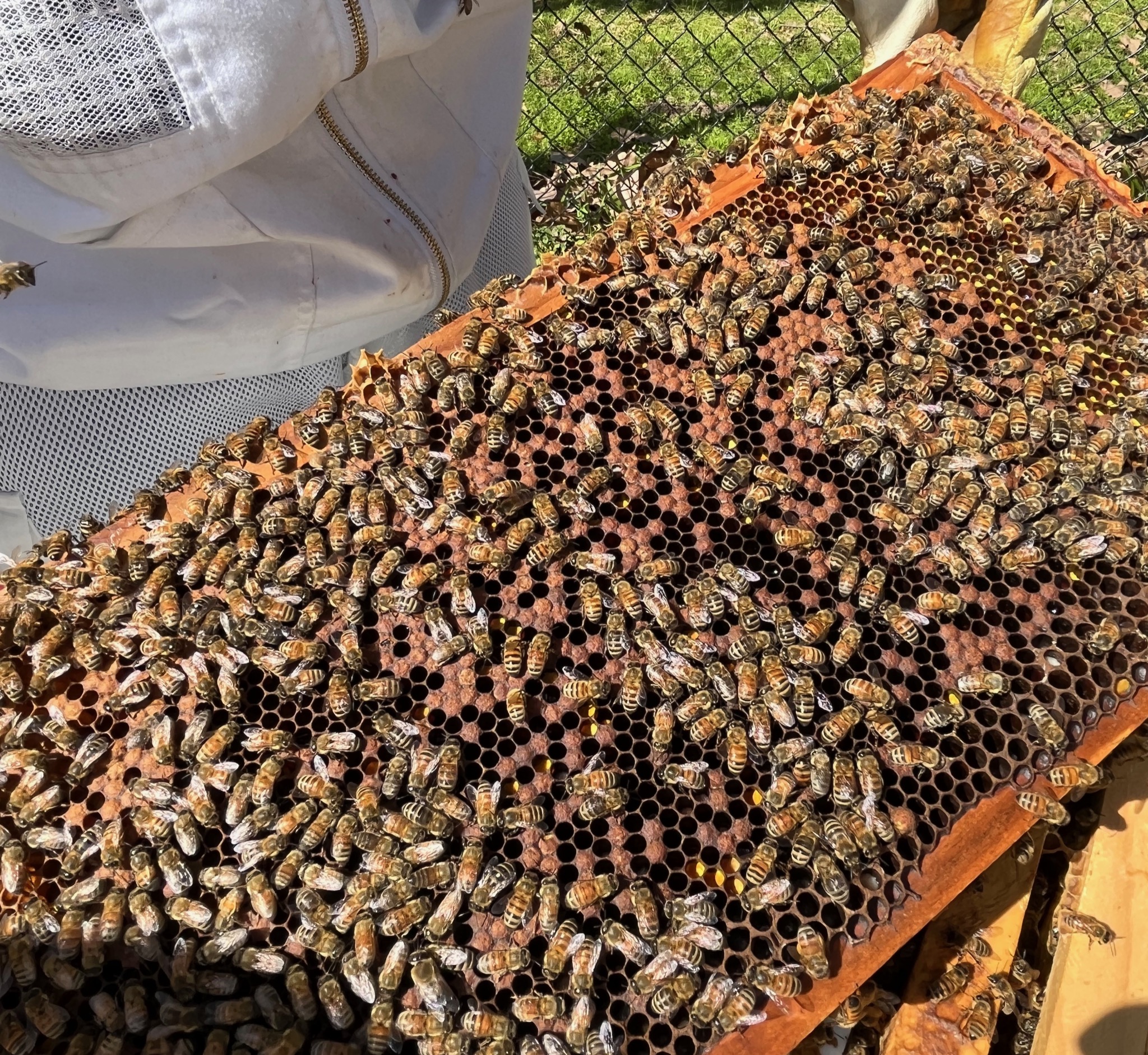 Where is she?/12154 Creek Rd, Ojai, CA 93023, USA