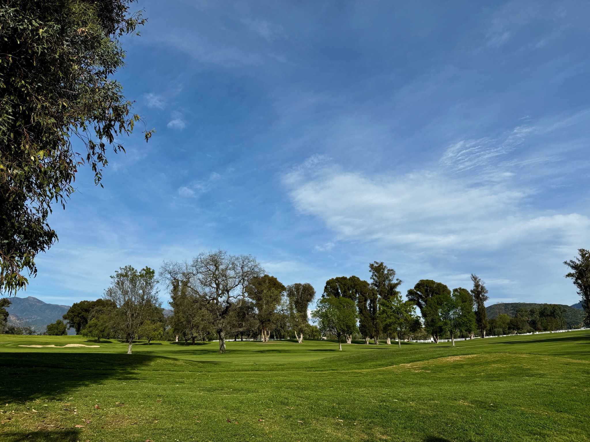 The view out of our room/905 Country Club Road Spa Cafe, Ojai, CA 93023, USA