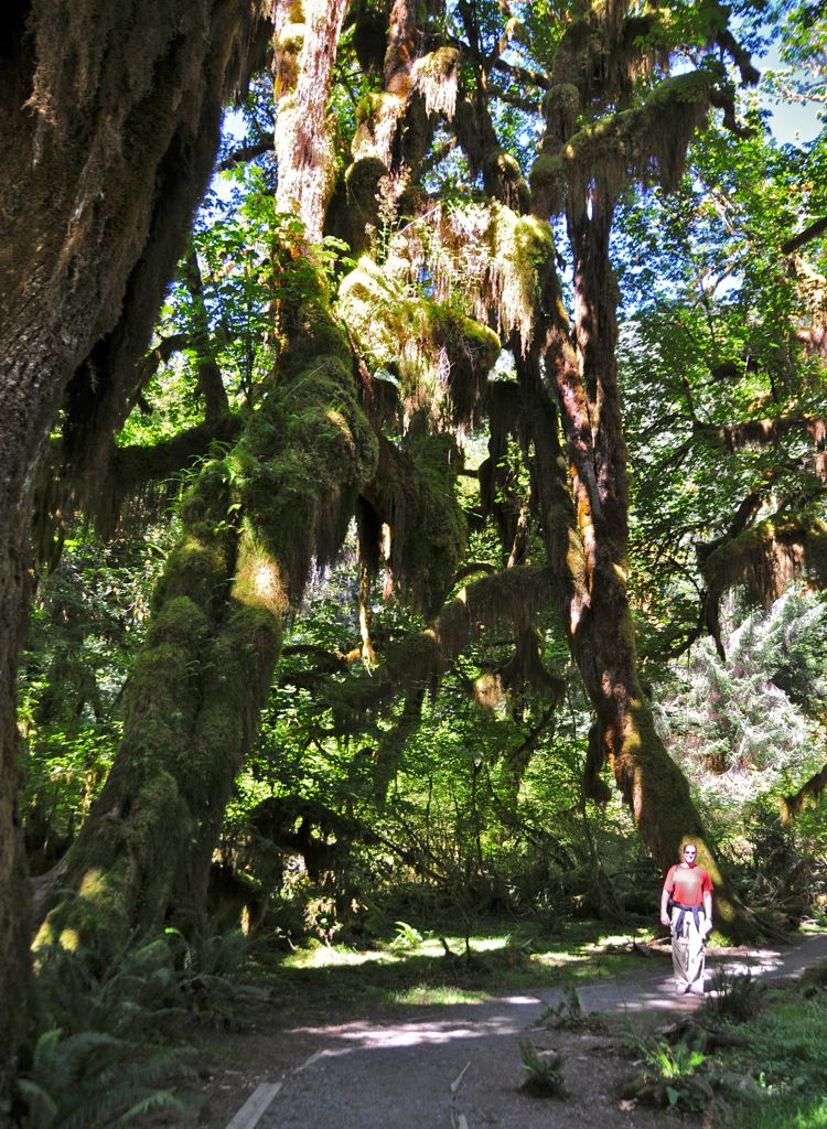 Ahh... the rainforest... /