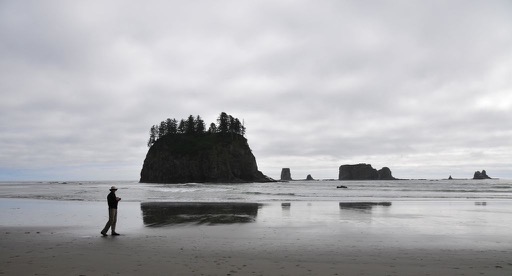 Second Beach, Olympic National Park, WA