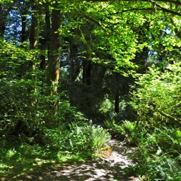 Spruce Trail/
		    