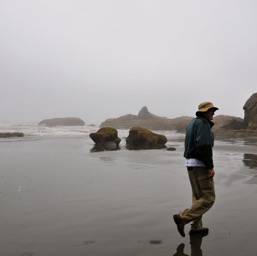 Heading to the tidepools/
		    