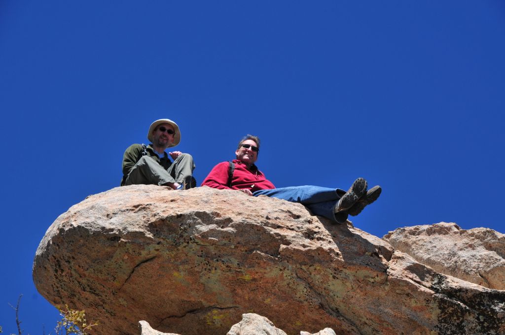 The two mountain goats/