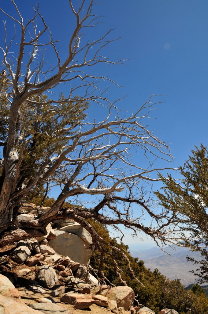 Artzy photo by Paul/