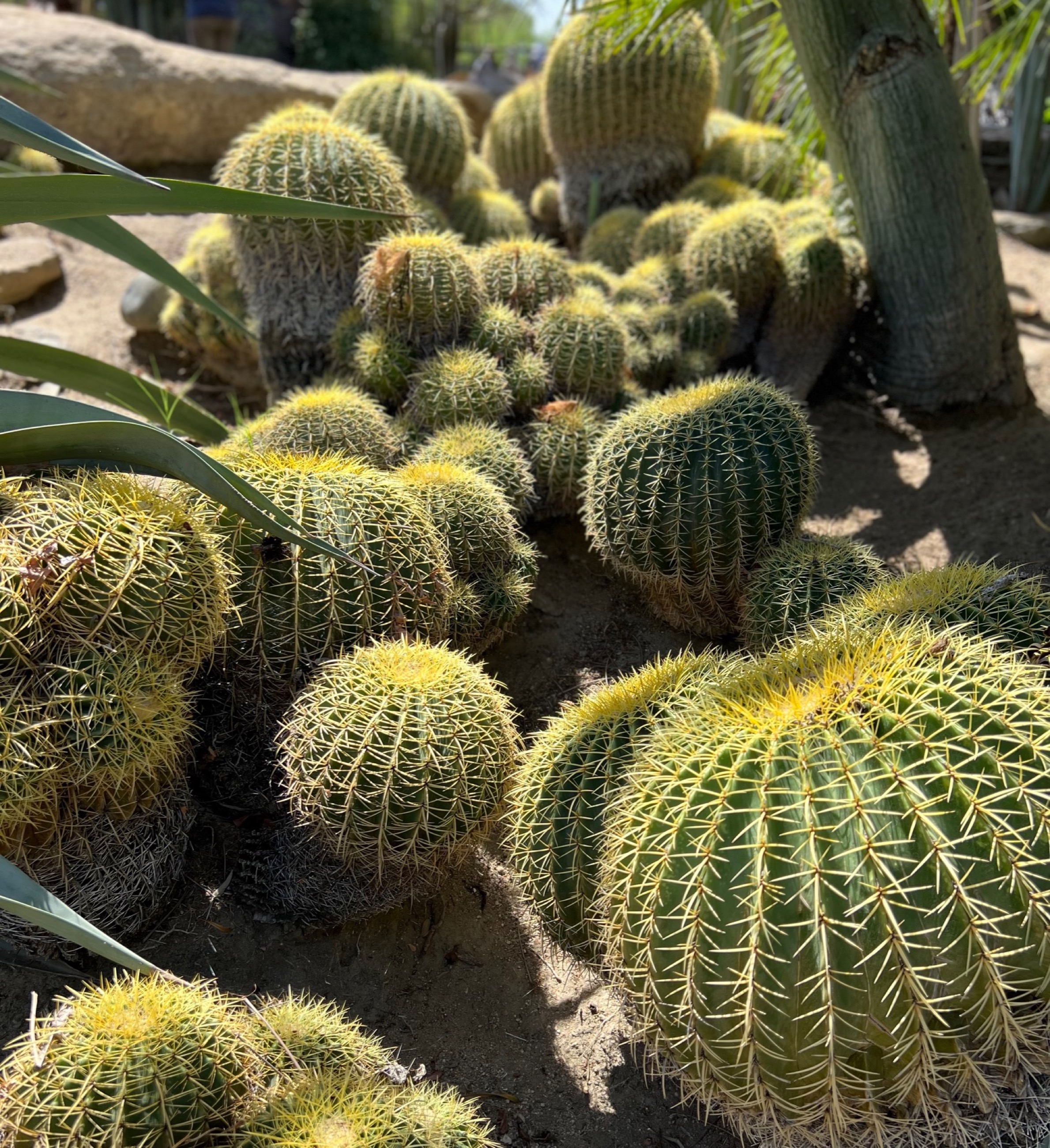 Gotta love the barresl/