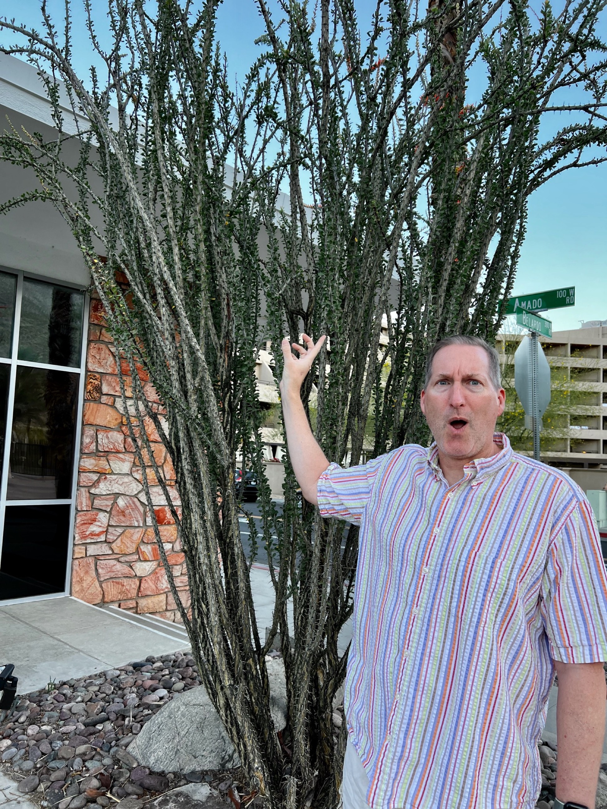 Nooo baby! Don't touch!/